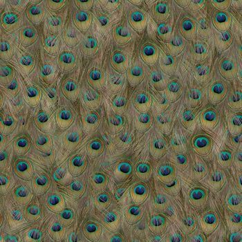ESSENTIA 150/50 PEAFOWL GREEN