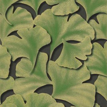 BILOBA VERT CHLOROPHYLLE