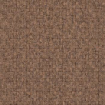 DAMIER CAMEL