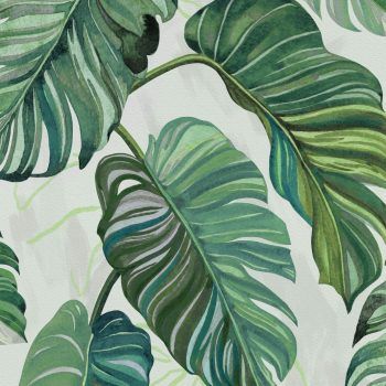 WANDER CARIOCA GREEN