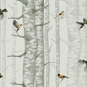 NATURAE BIRCH TREES GREEN