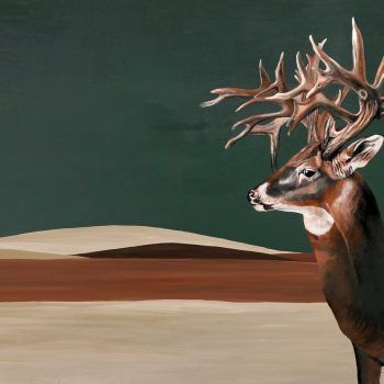 NATURAE GREAT DEER GREEN