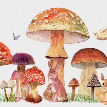 RANDOM
  KIDS SWEET FOREST VERMILION MULTICOLOR