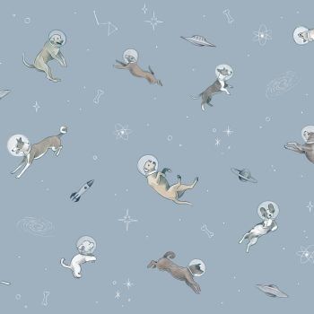 RANDOM
  KIDS DOGGY GRAVITY SKY GRIS