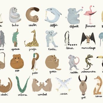 RANDOM
  KIDS ANIMAL ALPHABET MULTI MULTICOLOR