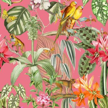 Papel Pintado Brazil Parrots Rosa Rosa
