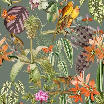 Papel Pintado Brazil Parrots Musgo Gris