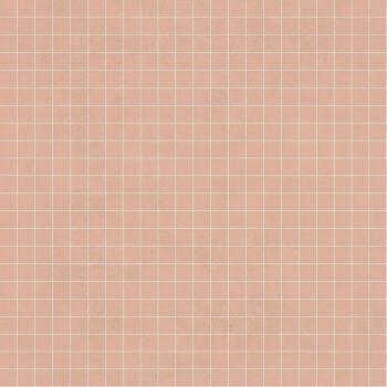 INSTANT NOTEBOOK NUDE