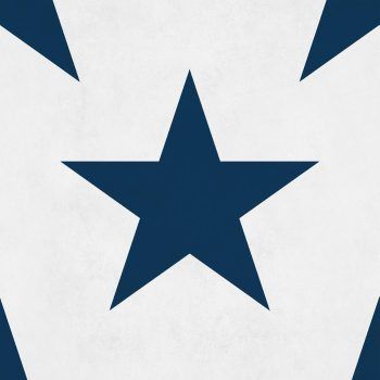 INSTANT HOLLYWOOD NAVY