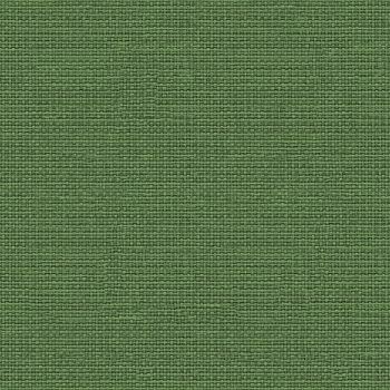 Papel Pintado Raffias+ -Verde