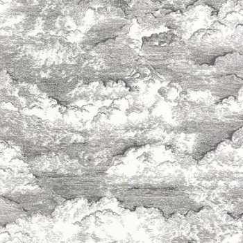 Papel Pintado Songe Noir Gravure