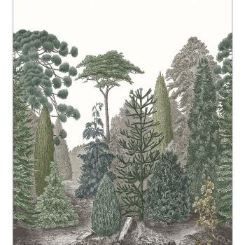 Mural de Papel Pintado Pinede_M Vert Pin 250×280