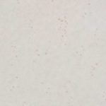 Ditto Cinder W627-03