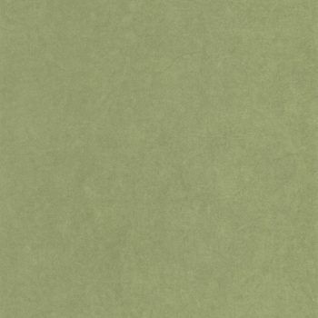 Detalle papel pintado Gardens Cotton Touch Vert Cactus 82387512