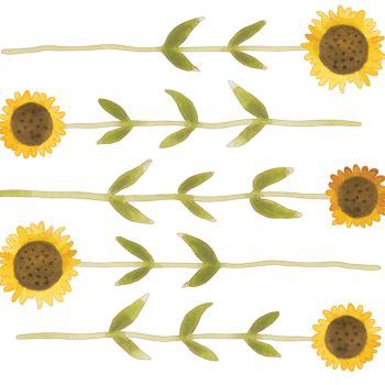 Stickers de papel pintado Decor pre- encolle Sunflower