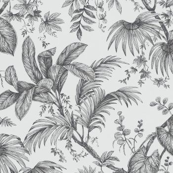 Papel Pintado Bahia Cardoso : BH1810